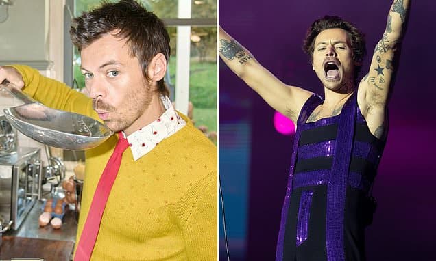 Harry Styles Ticket War: Fans Clinch Wembley Seats