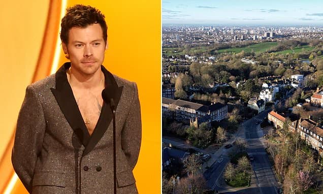 Harry Styles' Mansion Project Delayed by Invasive Weeds
