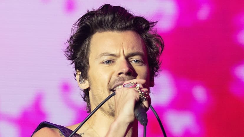 Harry Styles' Past Romance Revealed