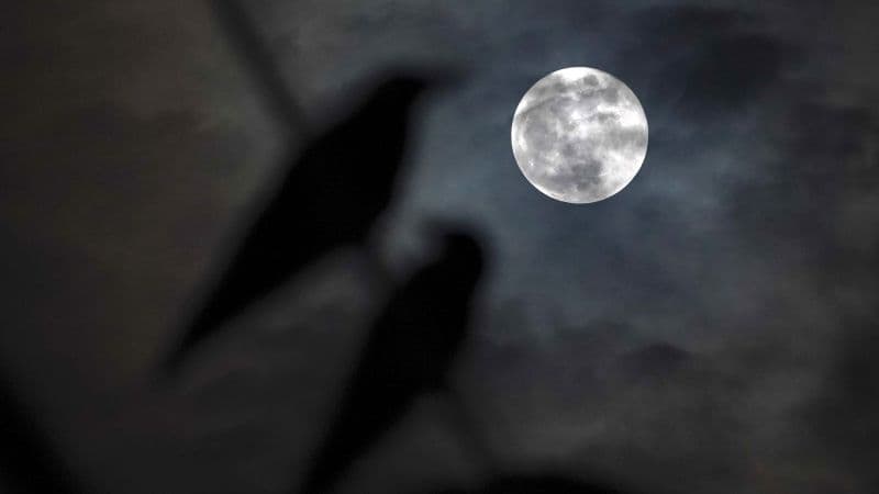 Harvest Moon Meets Saturn: Cosmic Double Feature