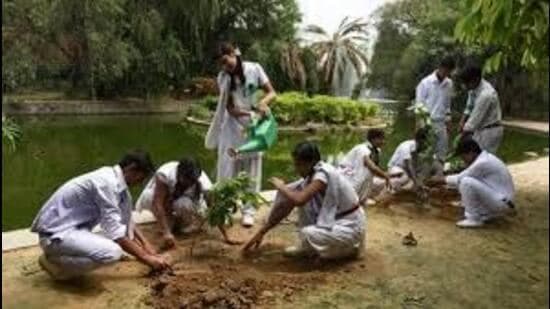 Haryana Judges Lead Green Revolution