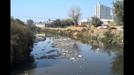 Pollution Plugged: Yamuna Gets Cleaner