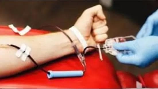 Haryana Celebrates Women's Day with Blood Donation Drives