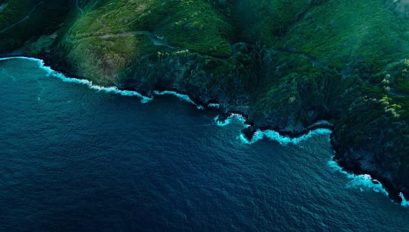 Hawai'i Fights Rising Tides With New AI Tool