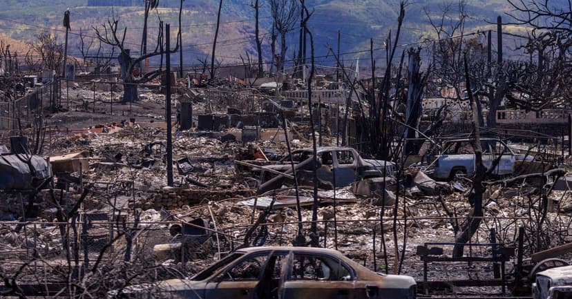 Hawaiian Electric Settles Wildfire Lawsuit for $47.75M