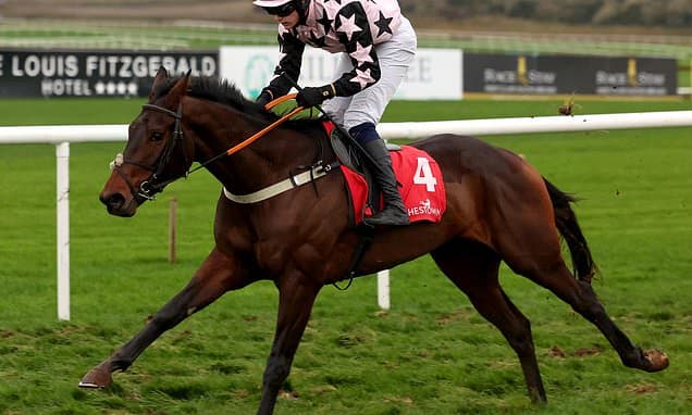 Heads Up Eyes Festival Trials Day Return