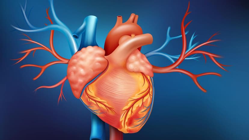 Heart Valve Surgery: Natural Valve Saves Lives