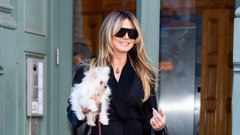 Heidi Klum's New Puppy Steals Show at Emmy Event