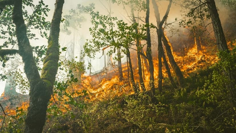 Camp Pendleton Fire Threatens Structures, Prompts Evacuations