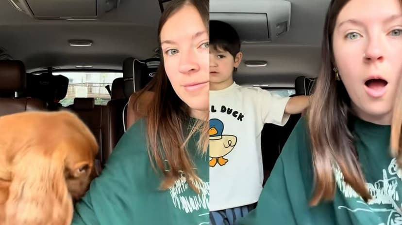 Hero Dog Alerts to Low Blood Sugar From Outside