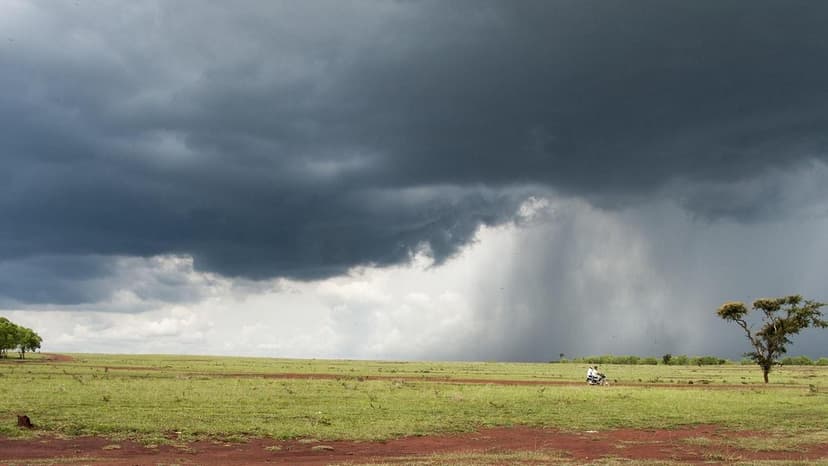 Hesaraghatta Grasslands: From Film Hub to Biodiversity Haven