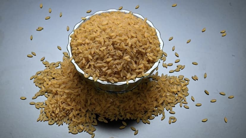 Protein-Rich Rice to Combat Diabetes