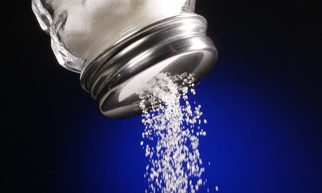 Salt Diet's Toll: Men's Memory Permanently Damaged