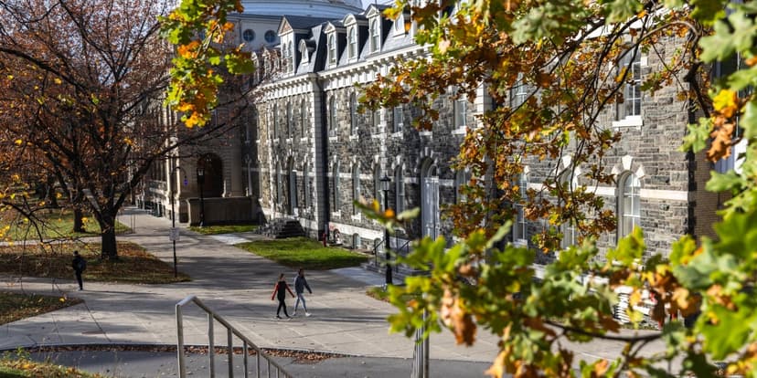 Higher Ed's Prestige Loss: Faculty Blame External Factors