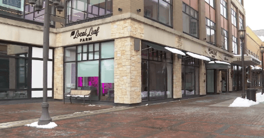 Downtown Highland Park Farm Grows Microgreens Indoors