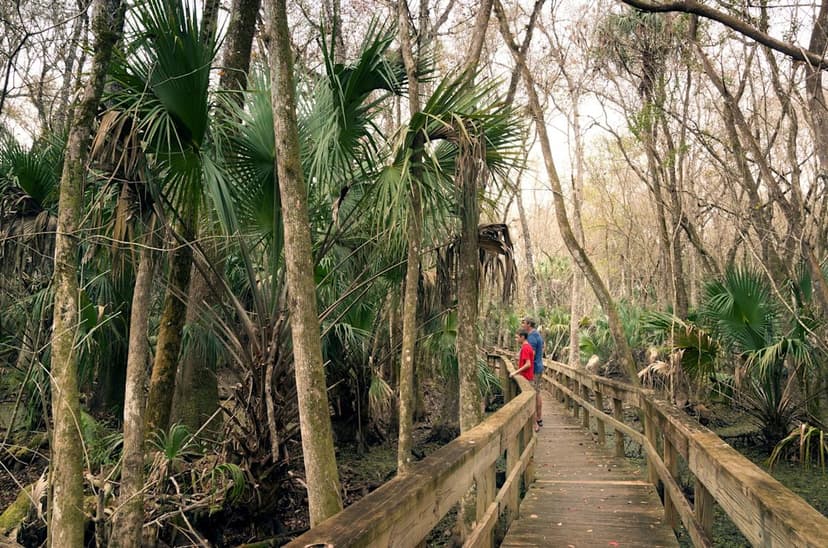 Highlands Hammock: From National Park Rejection to Conservation Triumph