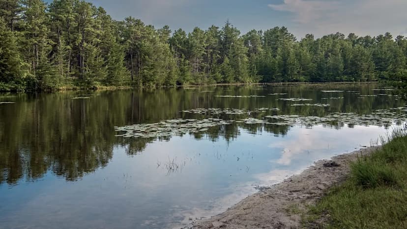 Colorado Lake Reclaimed from Invasive Mussels