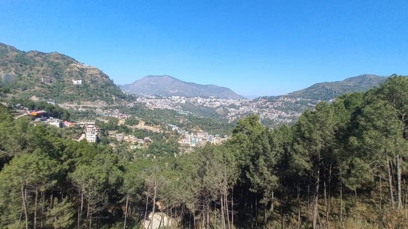 Himachal Forests Critically Endangered, Study Warns