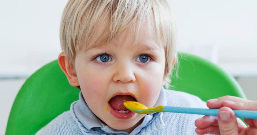 HiPP Lasagne Jar Fails Allergen Labeling, Recall Issued