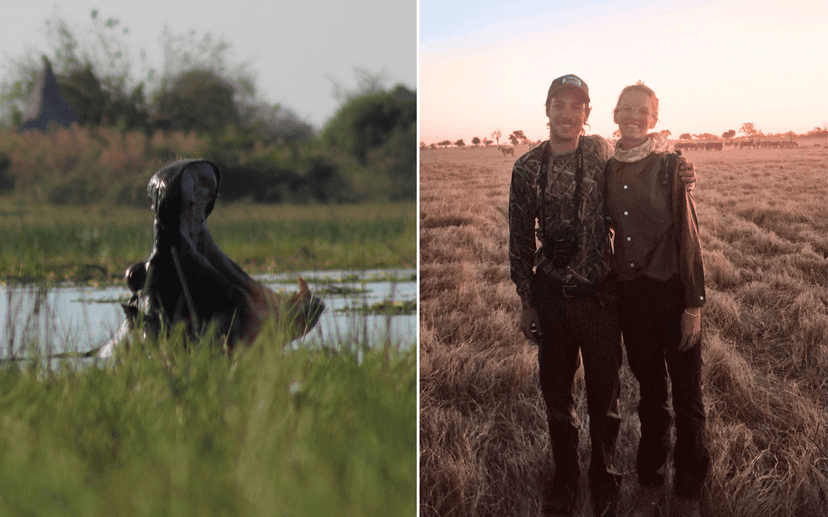 Bride's bravery saves husband from hippo's deadly jaws