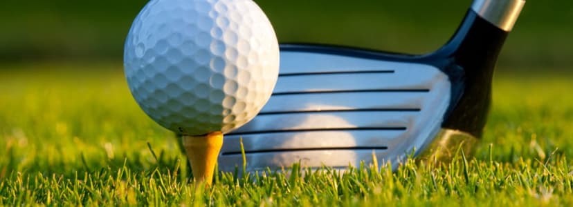 On Holding Stock: Undervalued Gem or Bubble?