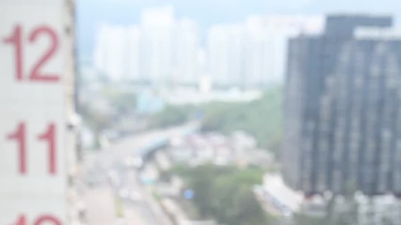 Hong Kong Artist Finds Nature in Urban Jungle