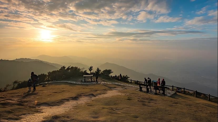Hong Kong's Mountain Reborn: Forest Restoration Thrives