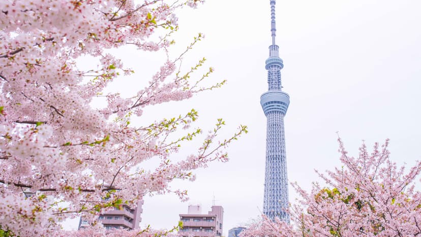 Strait of Hormuz Hopes Rise Amid Iran-Oman Talks