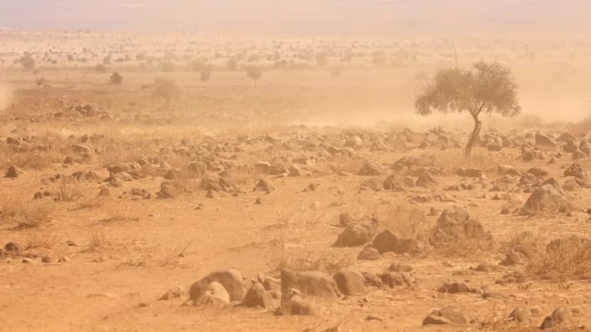 Drought Pushes Horn of Africa to Brink of Famine