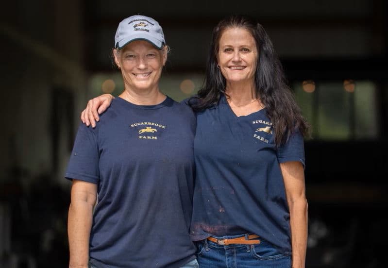 Retired Racehorse Finds New Life, Heals Former Inmate