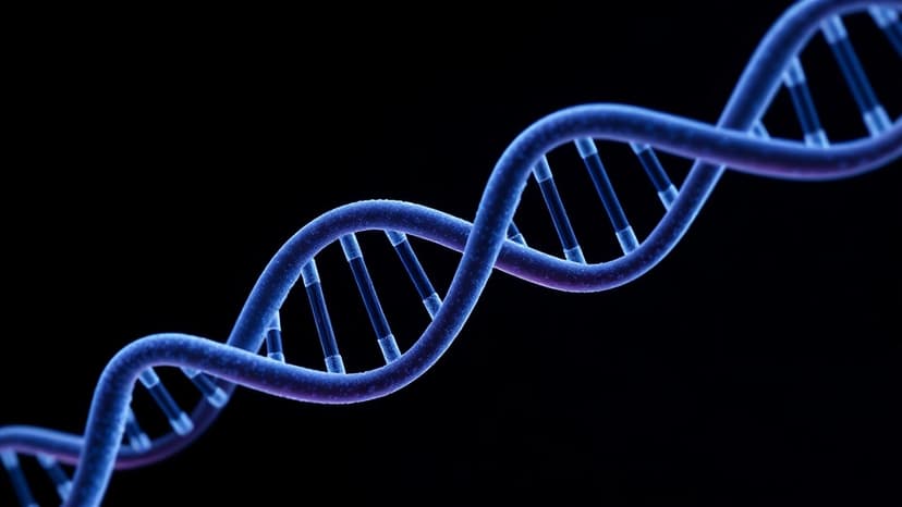 HPV: The Silent Threat Affecting Men