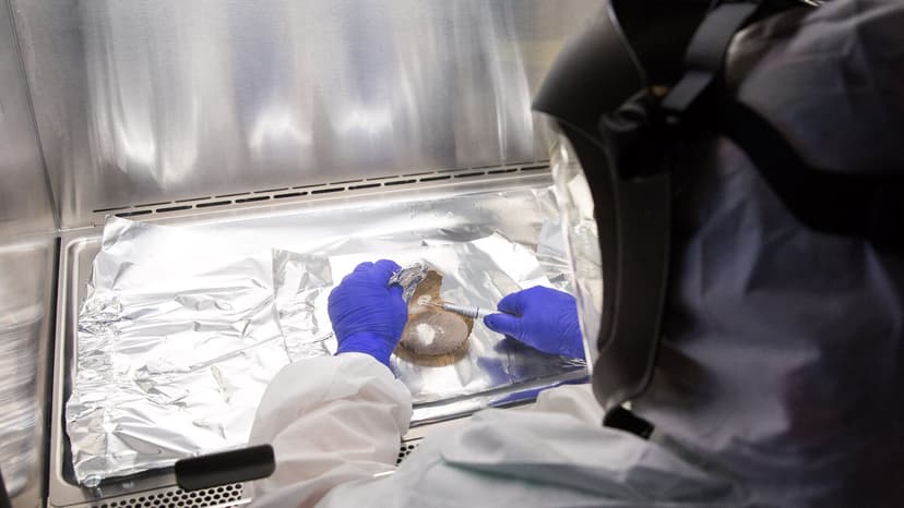 Ancient DNA Reveals 10,000 Years of Human Change