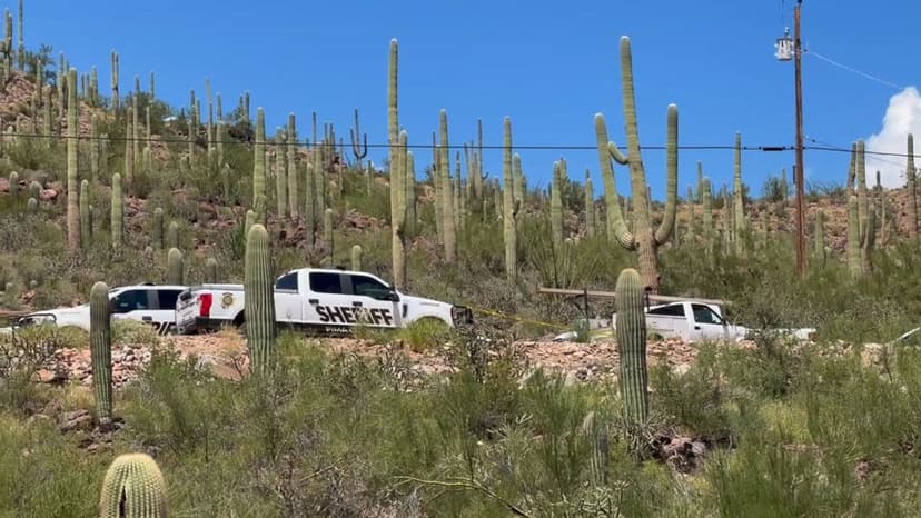 Human Remains Found Near Missing Mom's Home
