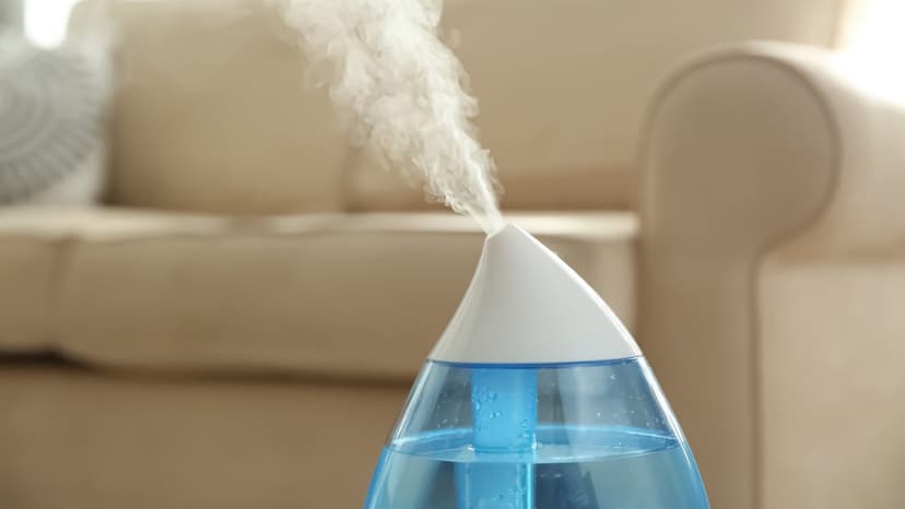 Winter Dryness? Humidifiers Explained