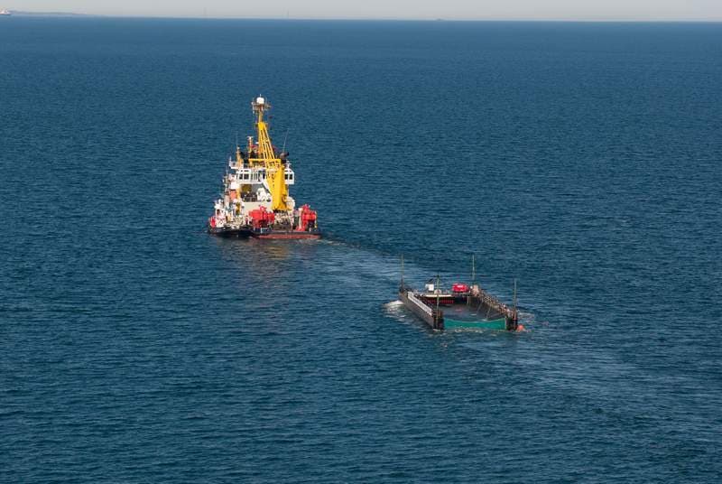 Humpback Whale's Epic Journey to Freedom