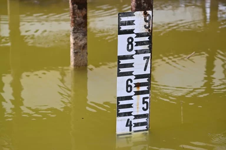 Hungary's Lake Velence Dries to Historic Low