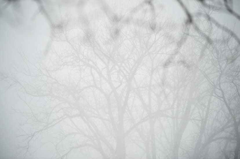 Icy I-196 Shut Down by Massive 100-Vehicle Pileup