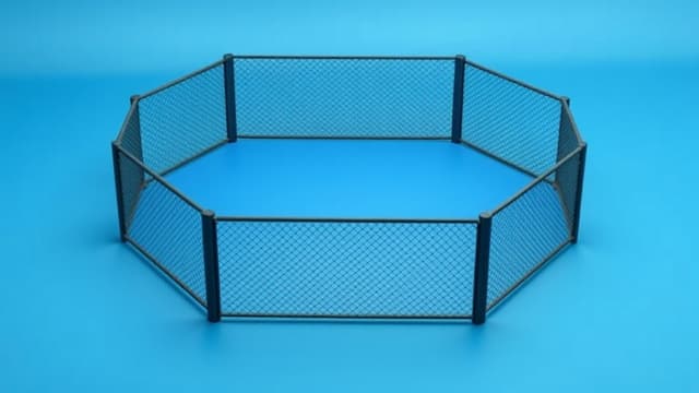 Garry Claims #1 Contender Spot After UFC Qatar Dominance