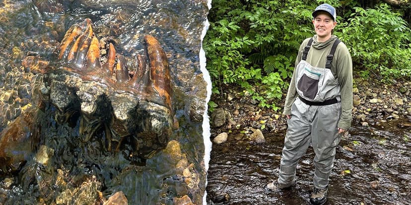 Ice Age Mastodon Tooth Found in California Creek