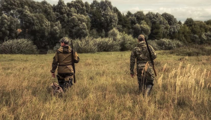 Idaho Poachers Slay 35 Animals, Get Prison Time