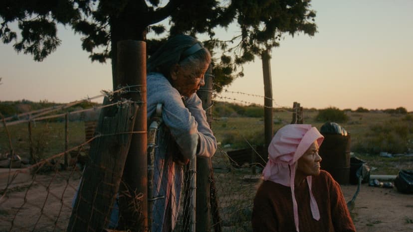 IFFR 2025: Award Winners Announced in Rotterdam