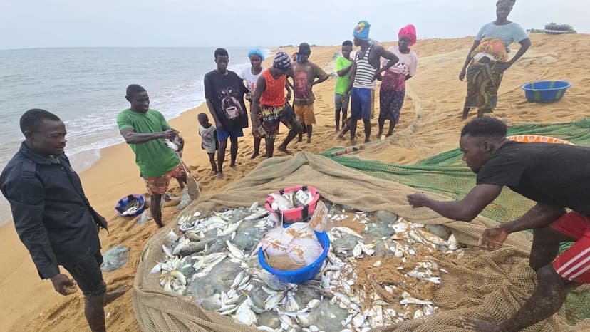 West Africa's Fish Stolen by Foreign Trawlers