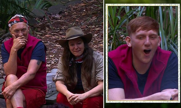 Fans Outraged as I'm A Celebrity App Fails on Launch Night