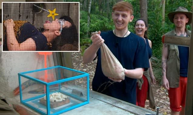 I'm A Celeb Axes Fan Faves: Secret Missions & Dingo Dollars Gone!