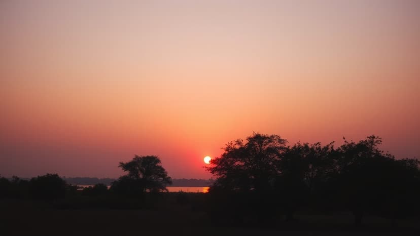 Imtiaz Ali Shares Golden Sunset Memories from Patiala Shoot