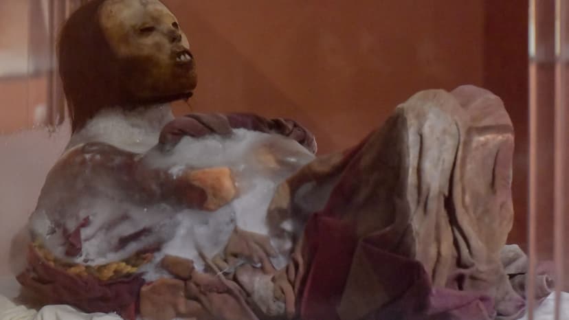 Inca Ice Mummies Reveal Violent Deaths