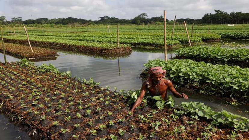 India's Agri Boom: Boost Exports, Slash Waste