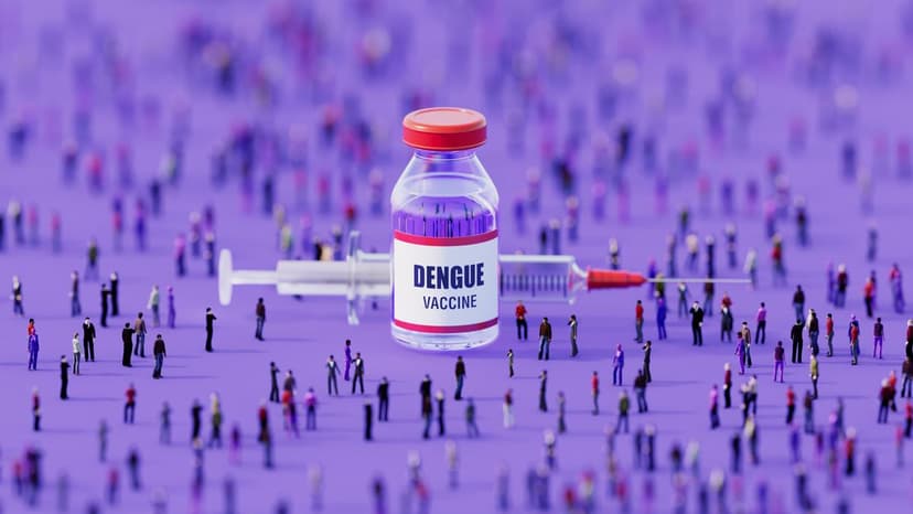 India's New Dengue Vaccine Faces Safety Questions