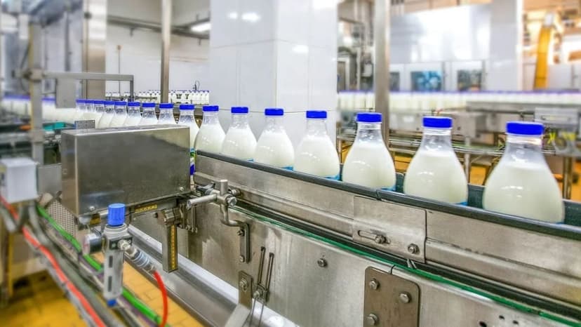 Dairy Crisis: Conflict Squeezes Indian Margins