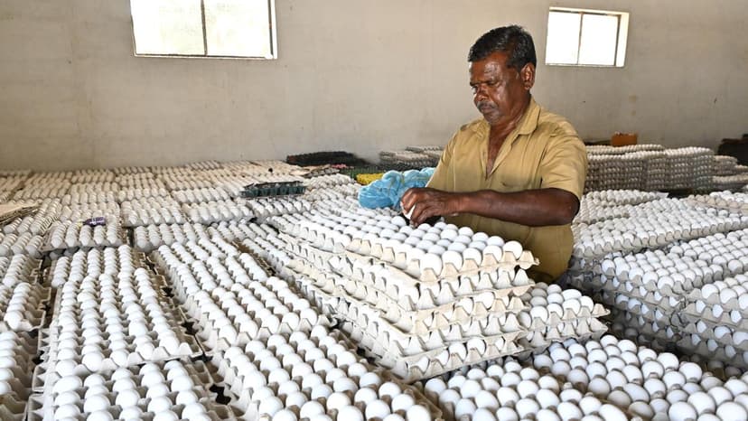 Eggs Safe: FSSAI Debunks Cancer Link Claims